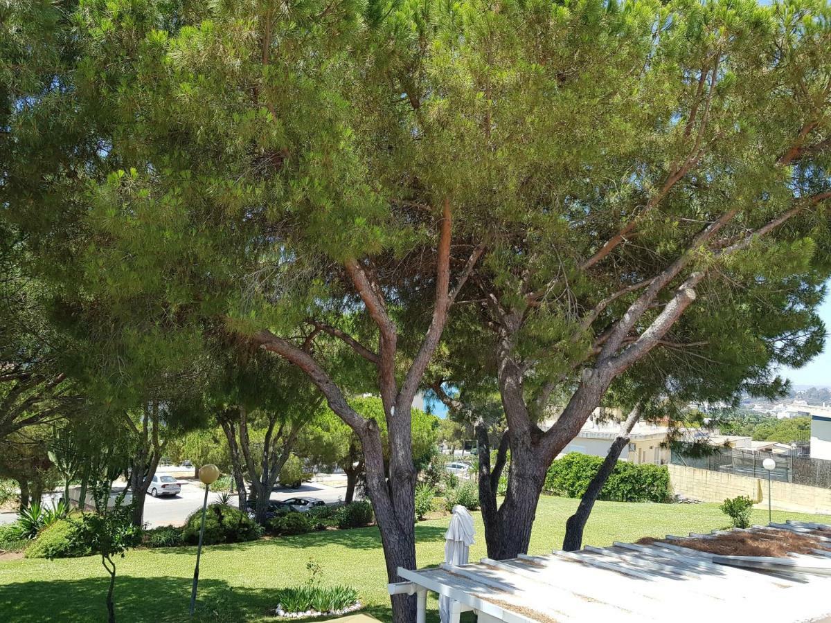 Lugar de la Luz Estepona Exterior foto